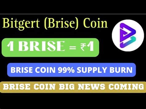 BRISE Best Coin In 2023 Bitgert 99 Supply Burn BRISE 1 Possible