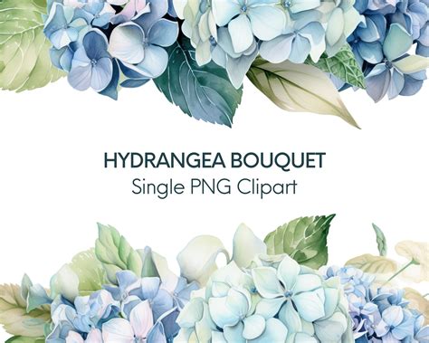 Hydrangea Border Bouquet Clipart Png Commercial Use Instant Etsy Uk