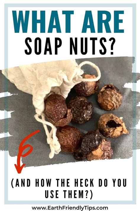 How To Use Soap Nuts Earth Friendly Tips