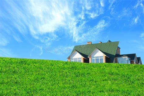 Wild Tall Grass Stock Image Image Of Summer Frame Wild 5182331