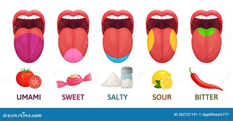 Tongue With Taste Receptors Map Sticking Out From Open Mouth Five