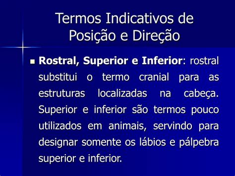 PPT Introdução à Anatomia e Fisiologia Animal PowerPoint Presentation