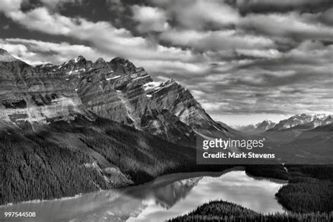 242 Peyto Glacier Stock Photos, High-Res Pictures, and Images - Getty ...