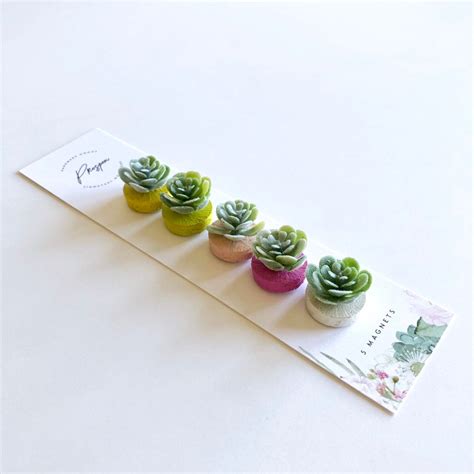 Mini Succulent Magnets EARTH Etsy