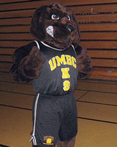 UMBC Retrievers mascot, True Grit | Mascot, Fursuit, Chesapeake bay ...