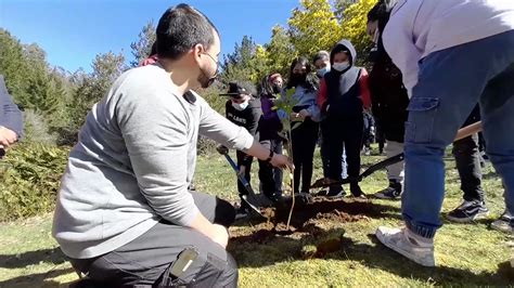 CONAF on Twitter CONAFAraucanía y su programa de Arborización