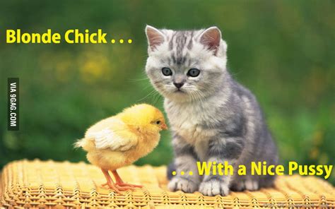 Chick With Pussy Gag