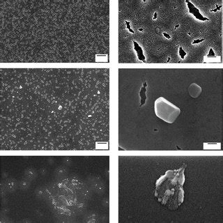 Electron Micrographs At Various Magnifications Of The Surface Of