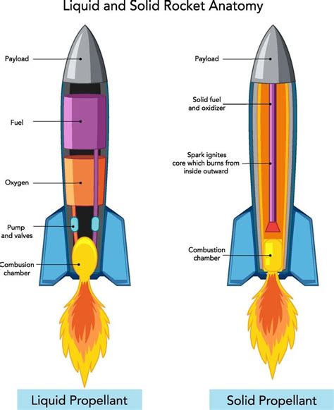 Liquid And Solid Rocket Anatomy Vector Art At Vecteezy