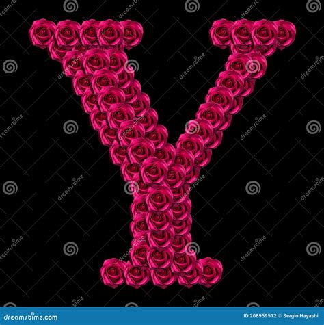 Capital Letter Y Of Red Roses Stock Photography