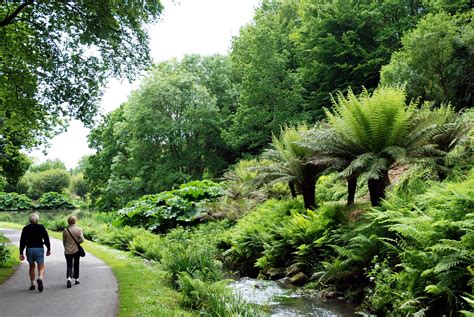 Jardin Du Conservatoire Botanique National De Brest Brest