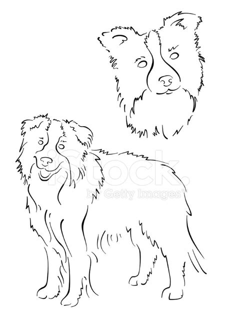 Border Collie Design Set Dessin Chien Facile Illustration De Chien