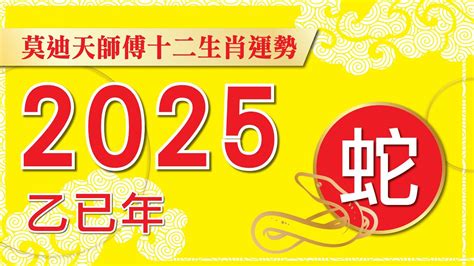 蛇 莫迪天2025年12生肖運程 蛇 廣東話字幕預約9143 4961 Youtube