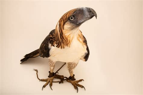 Bir040 00216 Joel Sartore