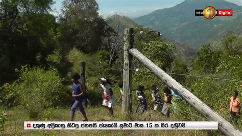 අලින්ගෙන් ජීවිත බේරගන්න වෙහෙසුණු දරුවන් දැන් අරගල කරන්නේ සිග්නල්