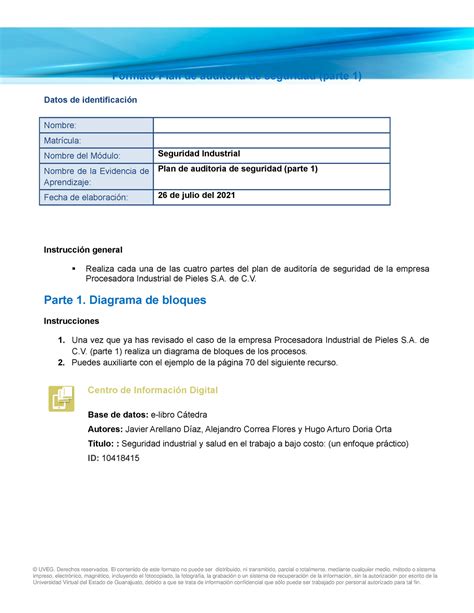 Plan Auditoria Seguridad Industrial Formato Plan De Auditoría De