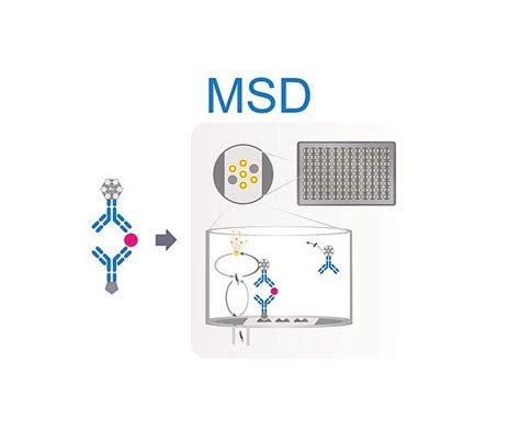 Msd™ Immunnoassays Services Chimera Biotec Gmbh