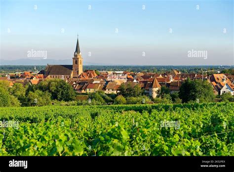 France Haut Rhin Alsace Wine Road Bergheim Medieval Walled Ancient