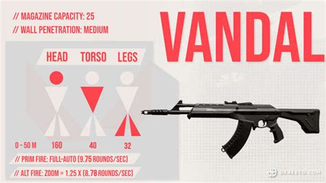 How To Use The Vandal Valorant Weapon Guide Dexerto Images And Photos