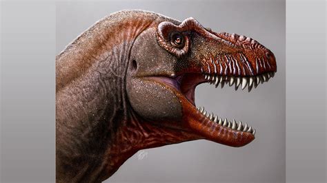 79.5 Million Years Old Tyrannosaur's Fossils Discovered In Canada — Guardian Life — The Guardian ...