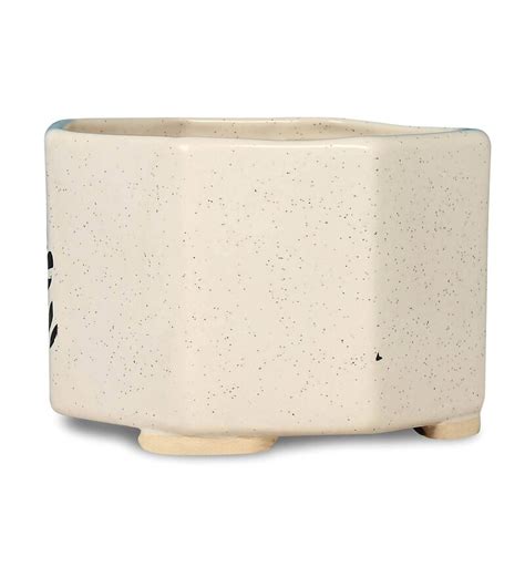 Buy White Ceramic Octa Box Shape Planter By Justoriginals Online Floor Planters Pots