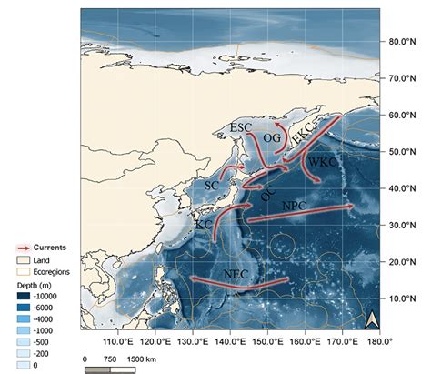 Figure 1 From The Environmental Drivers Of Benthic Fauna Diversity And