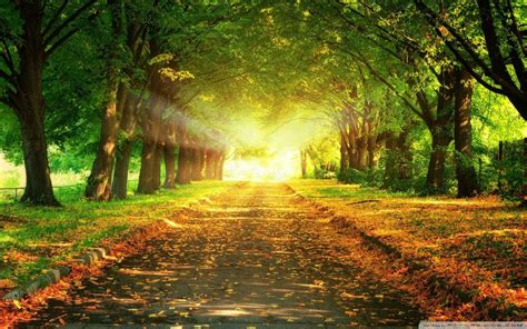 Pathway Wallpapers - Top Free Pathway Backgrounds - WallpaperAccess