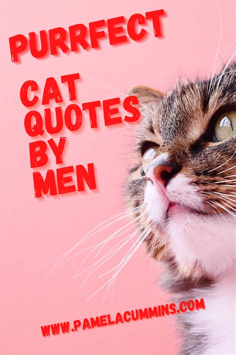 Cat Quotes By Men Cat Quotes Purrfect Cat Qoutes