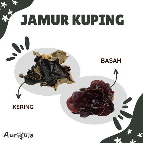 Jual Jamur Kuping Kering Super Grade A Dan Grade B 250gr 100gr Dan