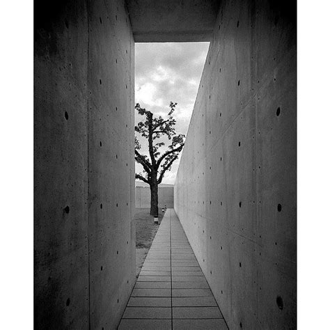 The Conference Pavilion Tadao Ando Germany Architecture Project