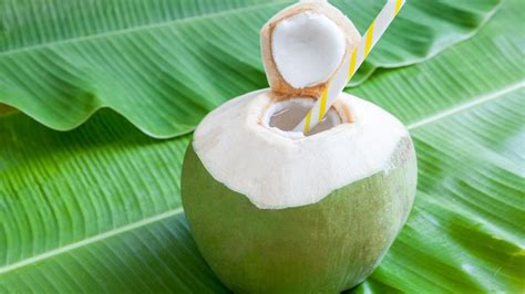 Benefits of Coconut Water for Skin - Secrets Revealed by BigBrainCaoch