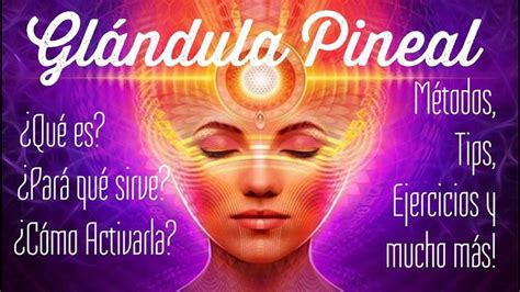 Gl Ndula Pineal Tercer Ojo Activaci N Percepci N Ajna Intuici N