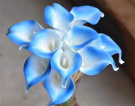 10 Royal Blue Edge Calla Lilies Real Touch Flowers Diy Silk Etsy In 2021 Real Touch Flowers