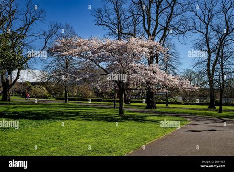 Southampton City Centre Park Hi Res Stock Photography And Images Alamy