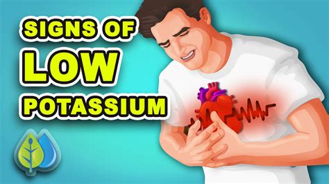 Warning Signs Your Magnesium Potassium And Calcium Levels Are Off And How To Fix It