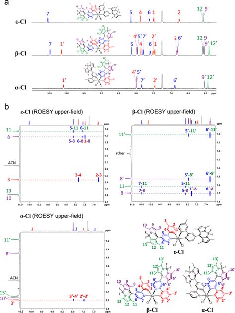 a Extended 1 H NMR spectra and b ROESY spectra of ε Cl β Cl and