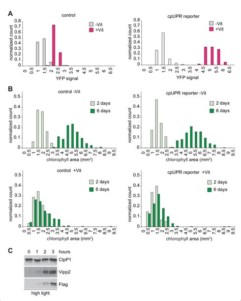 Figure Supplement Design Of A Reporter Cell Line For High Throughput