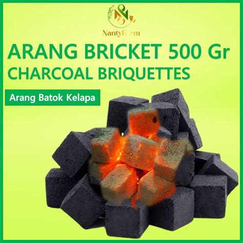 Jual Arang Briket Batok Kelapa 500 Gram BBQ Briket Arang Shopee