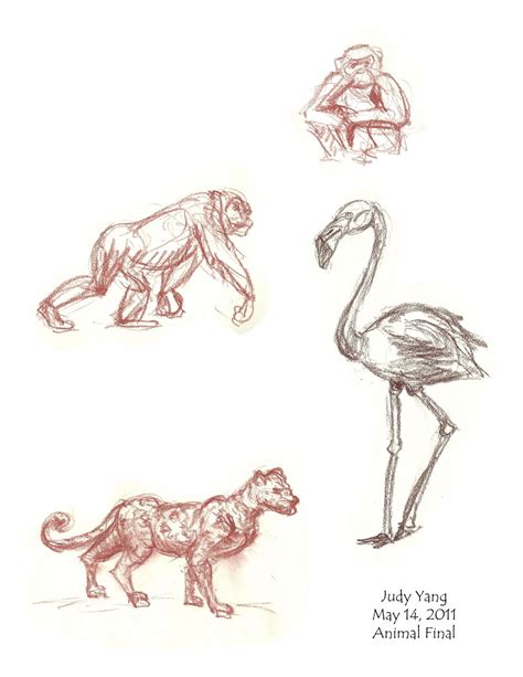 scribble scribble*: Animal Drawings