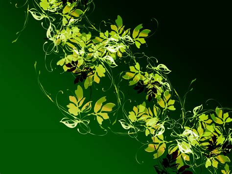 2304x720 2304x720 Vines Wallpaper Hd Coolwallpapersme