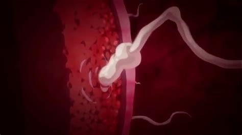 Fire Emblem Videos XVIDEOS