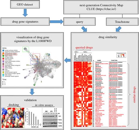 Systematic Polypharmacology And Drug Repurposing Via An Integrated