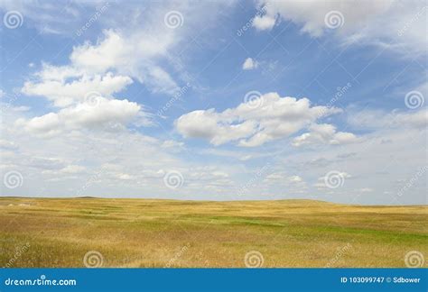 Grasslands Of The Great Plains South Dakota Stock Image Image Of