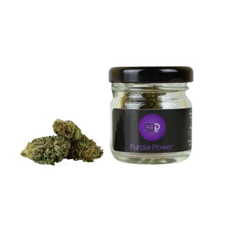 Cbd Boom Kwiaty Konopi Purple Power G Indorshop