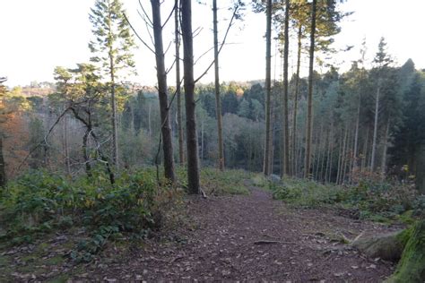 Woodland On Beacon Hill Philip Halling Cc By Sa 2 0 Geograph