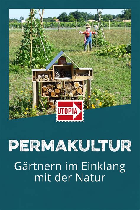 Permakultur G Rtnern Im Einklang Mit Der Natur Utopia De