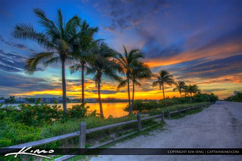 Coconut Trees Along Waterway On Jupiter Island At Sunset Royal Stock