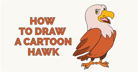 How To Draw A Hawk