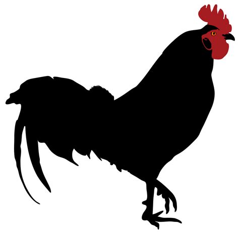 Rooster Silhouette Chicken Clip art - rooster png download - 1052*1024 ...