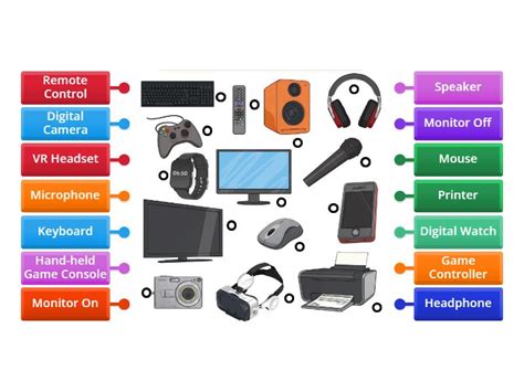 Identify Input and Output Devices - Labelled diagram